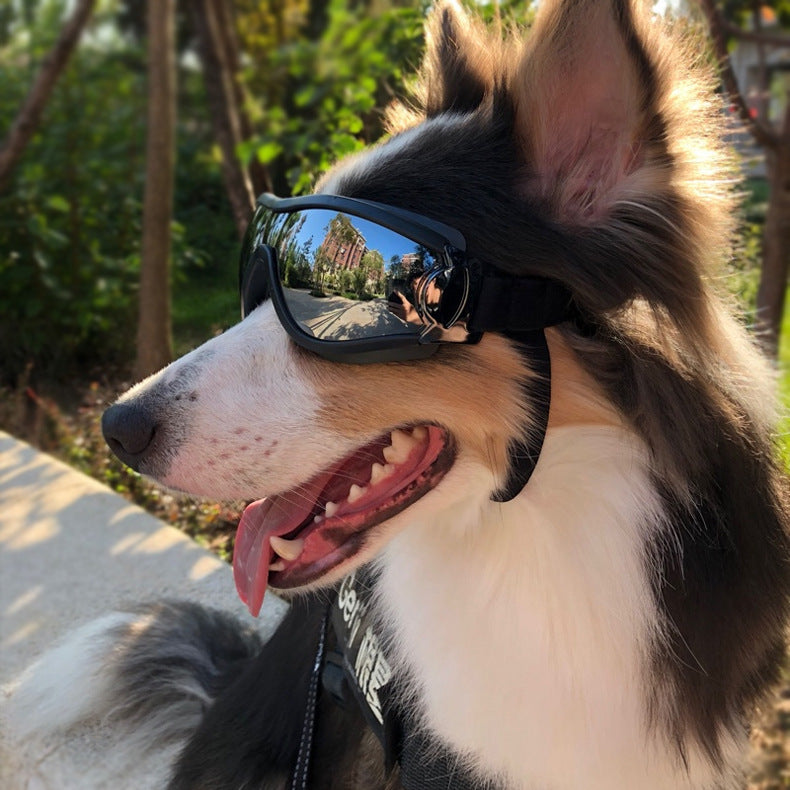 Polarized Dog Sunglasses