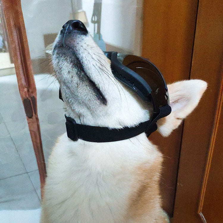 Polarized Dog Sunglasses