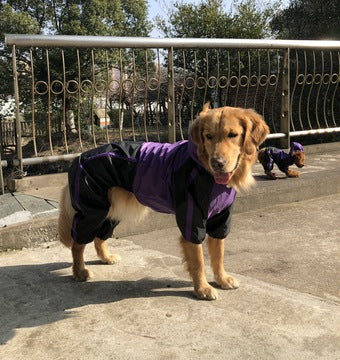 Large Pet Raincoat