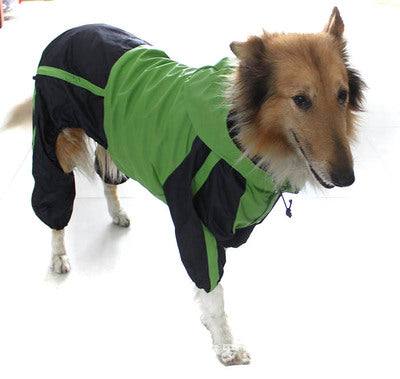 Large Pet Raincoat
