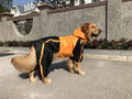 Large Pet Raincoat