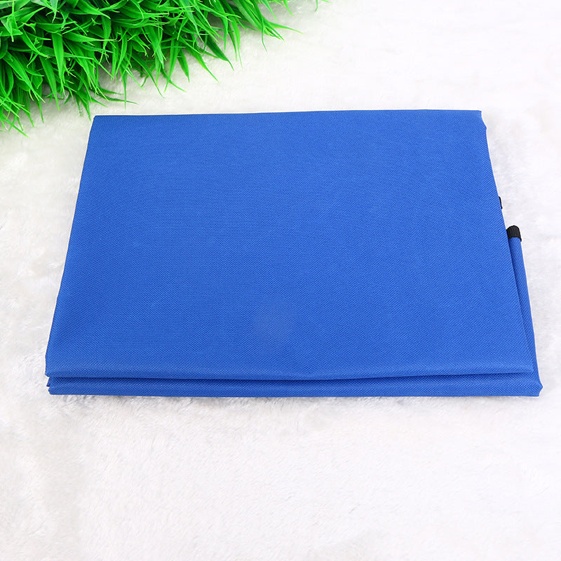 Pet Car Cushion