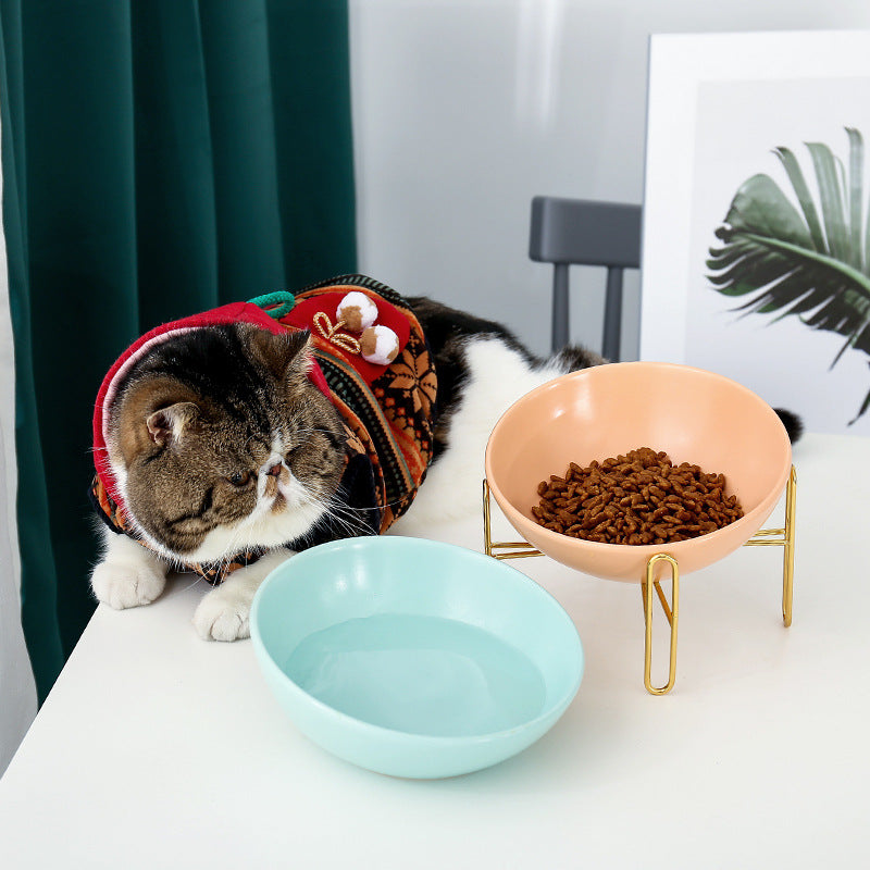Pet Feeding Bowl With Holder