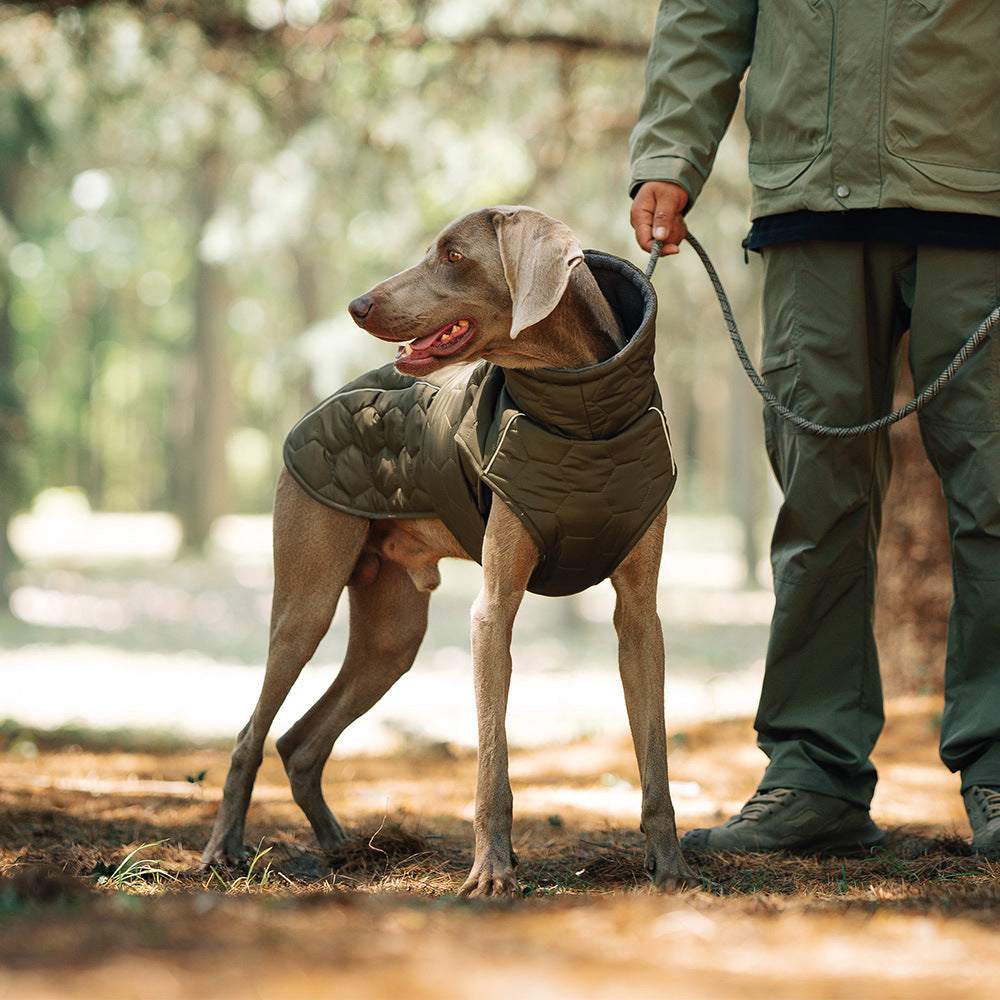 Quilted Dog Jacket