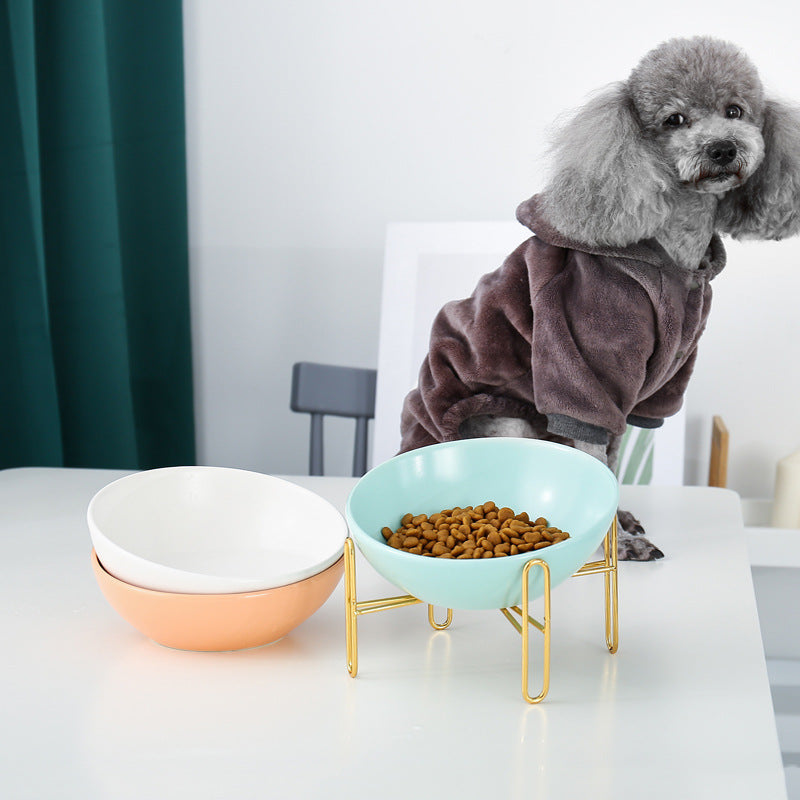 Pet Feeding Bowl With Holder