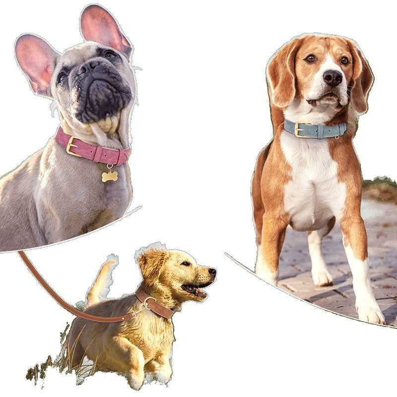 Double-layer Leather Pet Dog Collar