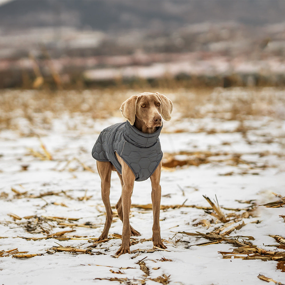 Quilted Dog Jacket
