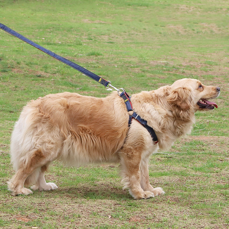 Dog Leash Pet Supplies