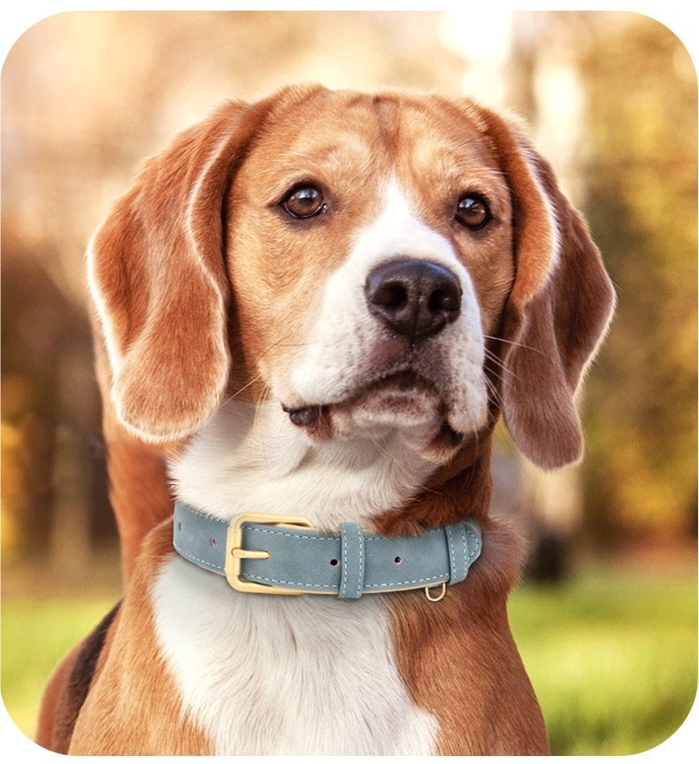Double-layer Leather Pet Dog Collar