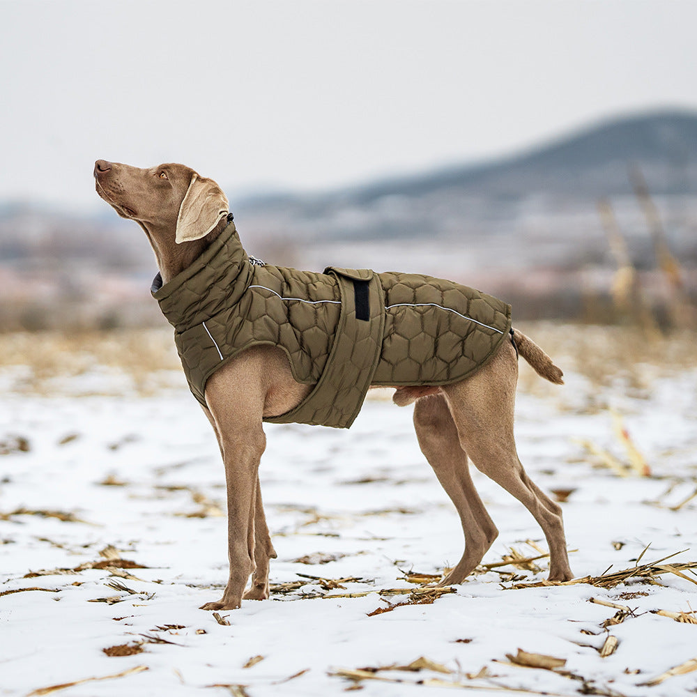 Quilted Dog Jacket
